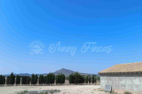 Landejendom i Caudete, Albacete, Caudete - € 95.000 | Ref: SF0539 - foto 6